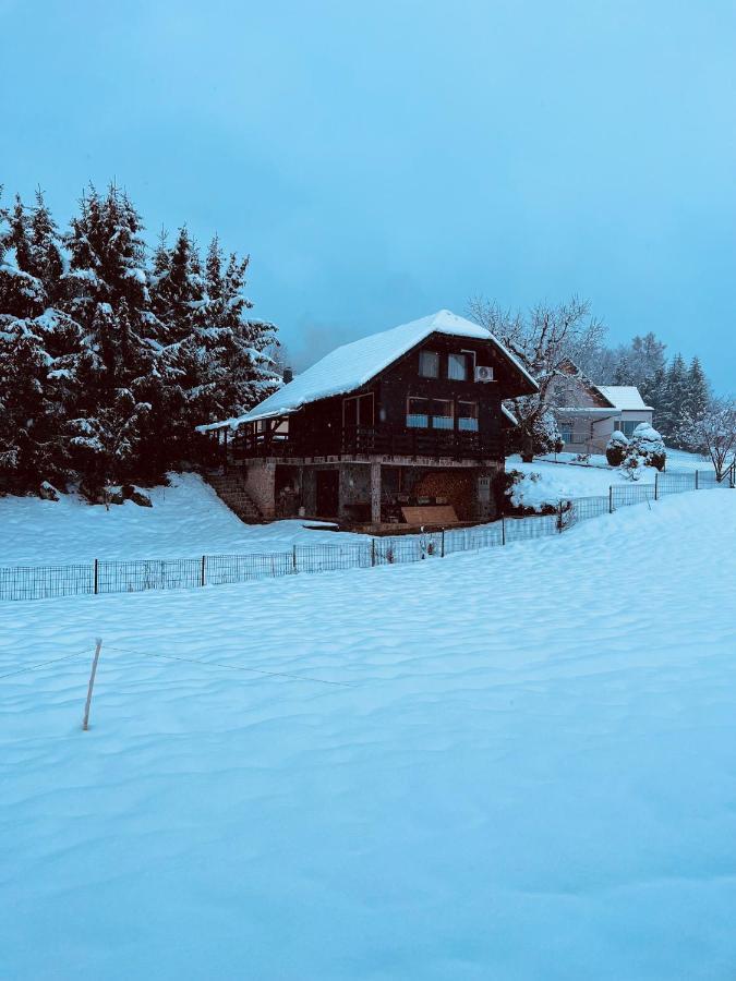 Chalet Pjagodic Cerklje na Gorenjskem Exterior foto